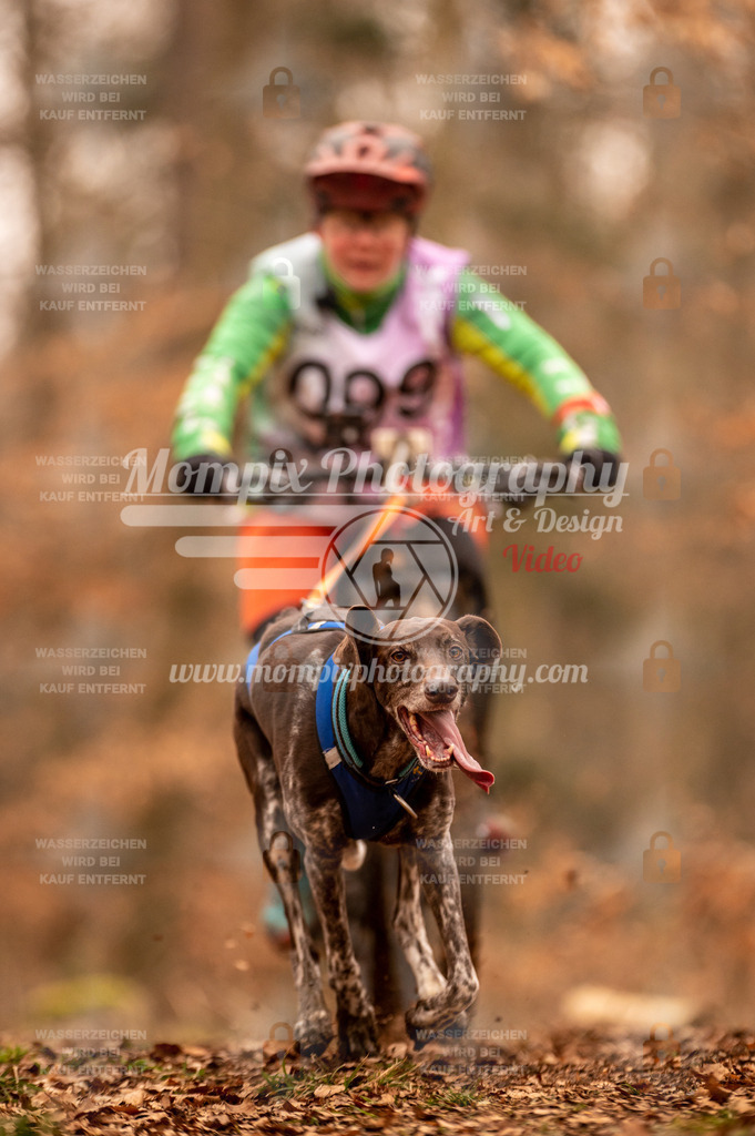 AKM_ST_2023_SAM_Bike-108 | PayLife