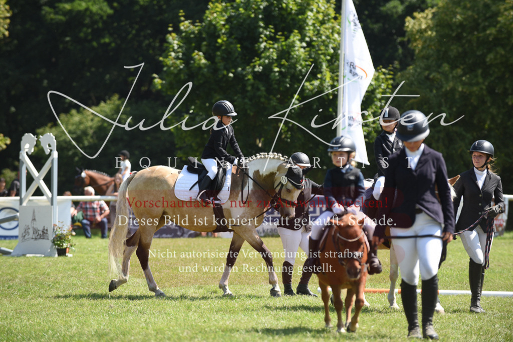 DSC_9871 | Pferde- und Turnierfotografie in Westsachsen. Pferdeportraits, Auftragszeichnungen und intuitive Kunst.