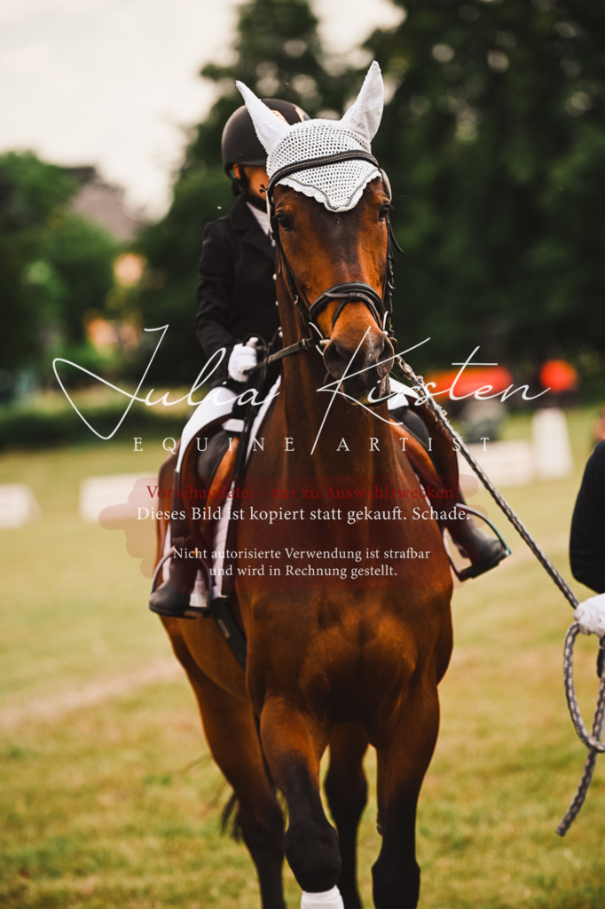 DSC_6478 | Pferde- und Turnierfotografie in Westsachsen. Pferdeportraits, Auftragszeichnungen und intuitive Kunst.