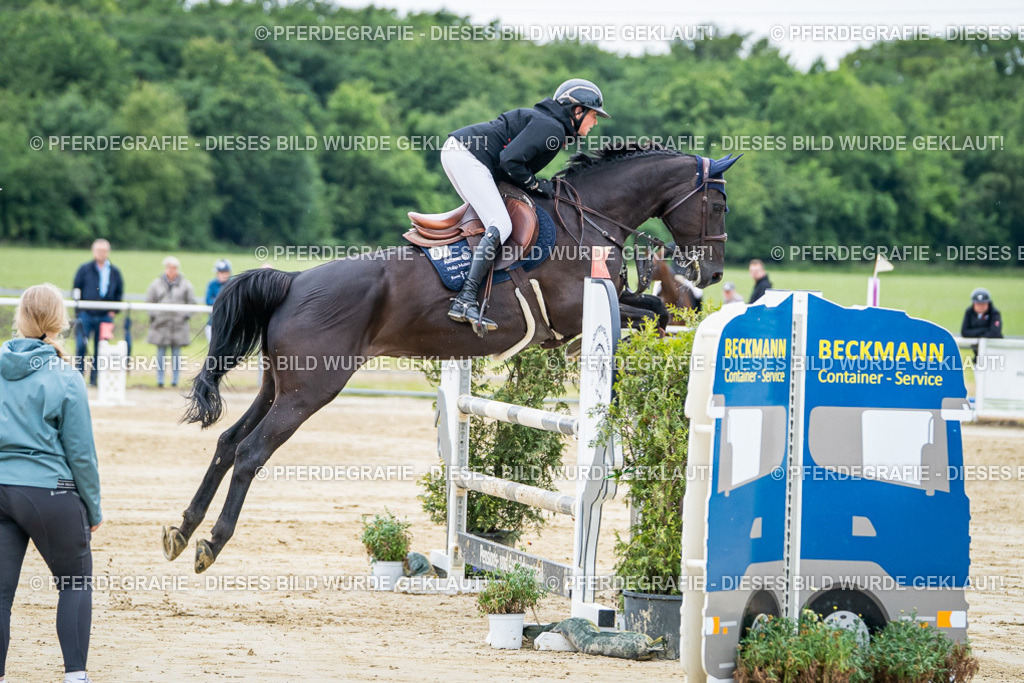 DSC04034 | Pferdegrafie