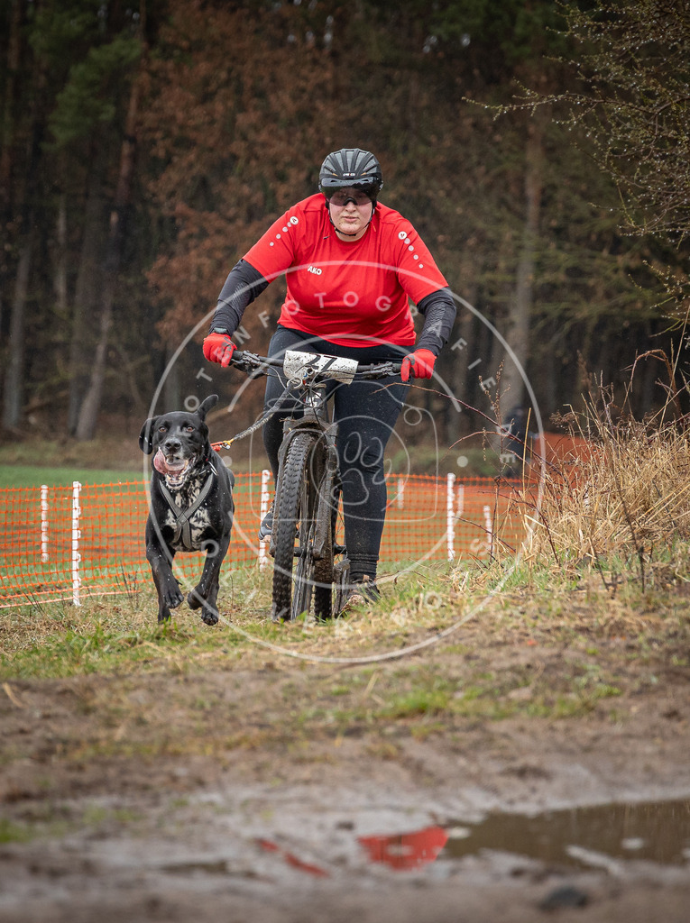 0L8A8862 | Hundefotografie, Tierfotograf, Pfotenfotografie, Fotoshooting Hund, Hunde Portrait, Hundesport, Hundeportraits, Heideshooting, Hunde, Sportfotograf, Hundefotograf, Turnierhundsport, THS,  - Realisiert mit Pictrs.com