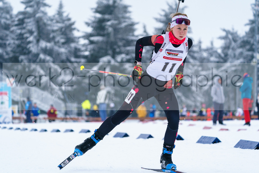 DP Oberwiesenthal | Alpencup/DP Deutschlandpokal in Oberwiesenthal am 15.-17.12.2023