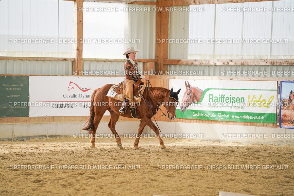 DSC04879 | Pferdegrafie