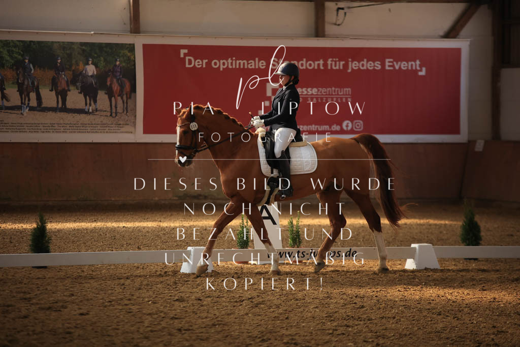 IMGT8070 | pl-fotografie