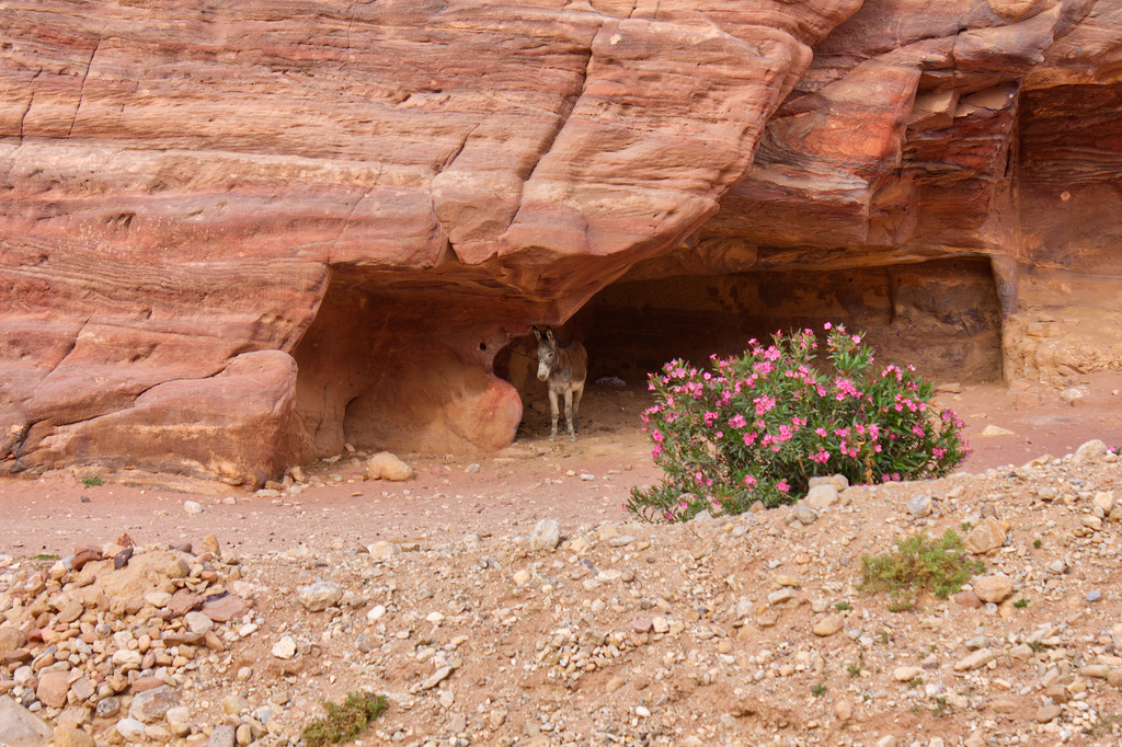 IMG_2043a | ansichtssache