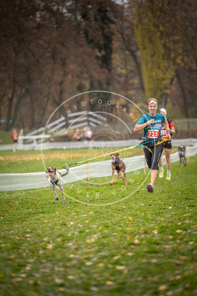 CaniXpix_DV3A9298 | Hundefotografie, Tierfotograf, Pfotenfotografie, Fotoshooting Hund, Hunde Portrait, Hundesport, Hundeportraits, Heideshooting, Hunde, Sportfotograf, Hundefotograf, Turnierhundsport, THS,  - Realisiert mit Pictrs.com