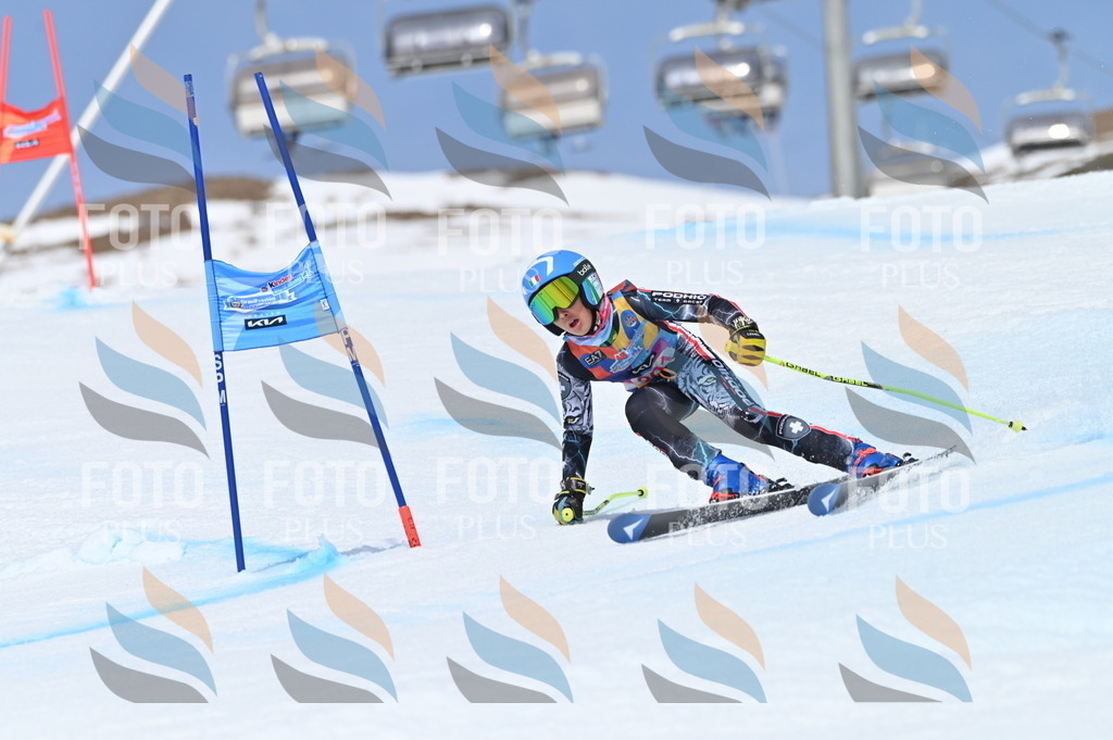 BGV_2798 | holidayphoto