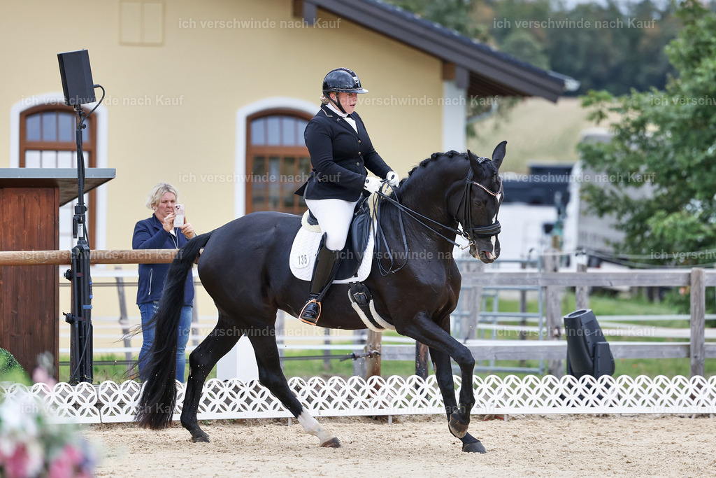 04_1-135-Dressur M__ -StoibPH-StoibPH-2682 | working equitationturnier fotograf videograf stoibphotography marixx film working equitation deutschland reitsport turnierfotografie eventfotografie equestrian events