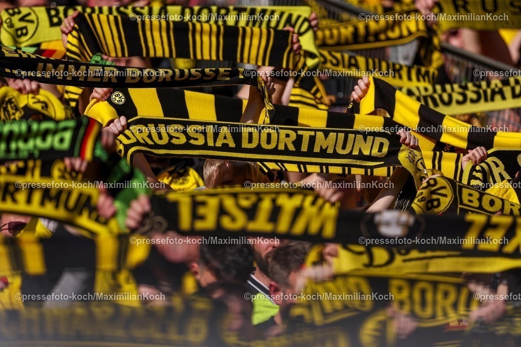 BVB08032502379 | 08.03.2025, Fußball, Borussia Dortmund - FC Augsburg, 1. Fußball Bundesliga, 25. Spieltag, Signal Iduna Park, Saison 2024 2025: Feature Schalparade Fanschal Schal Schal Fans Zuschauer Besucher Symbolbild Symbolfoto Schriftzug Logo Symbolisch Nahaufnahme Detail DetailfotoDFB regulations prohibit any use of photographs as image sequences and or quasi-video.