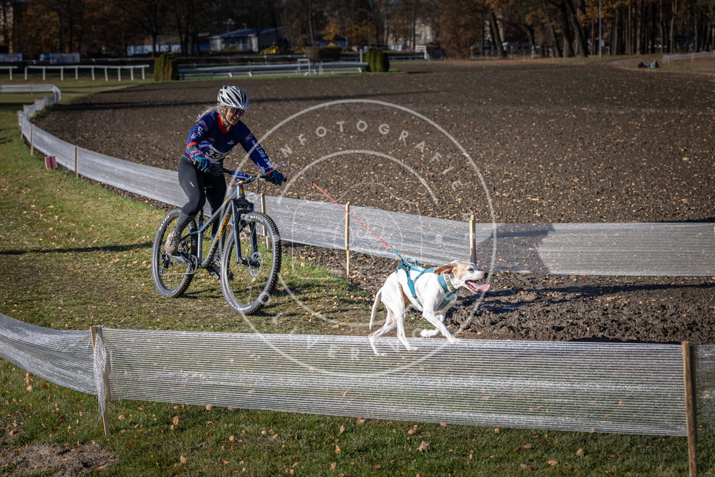 CaniXpix_DV3A6888 | Hundefotografie, Tierfotograf, Pfotenfotografie, Fotoshooting Hund, Hunde Portrait, Hundesport, Hundeportraits, Heideshooting, Hunde, Sportfotograf, Hundefotograf, Turnierhundsport, THS,  - Realisiert mit Pictrs.com