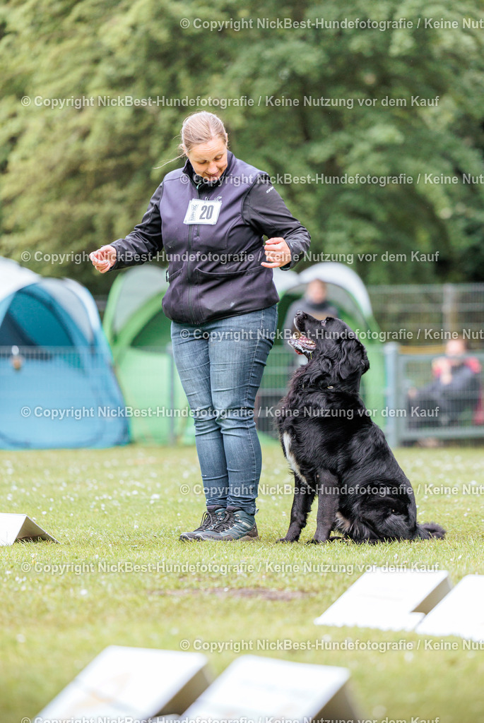 RO-Blumenthal-2026-Nickbest-Hundefotografie-4627 | Dein Hund! Dein Moment! Deine Erinnerungen! Hundefotografie in Bremen Blumenthal. Ich fange die besonderen Momente deines Vierbeiners ein – ob Indoor mit Blitzanlage oder in der freien Natur. Sicher dir dein Moment und dein Termin für eure Erinnerungen.