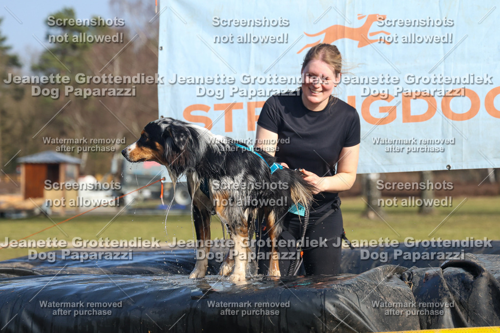 Dog Paparazzi - Strongdog North Mrz26-3156 | Dog Paparazzi Jeanette Grottendiek Fotografie & Videografie - Realisiert mit Pictrs.com