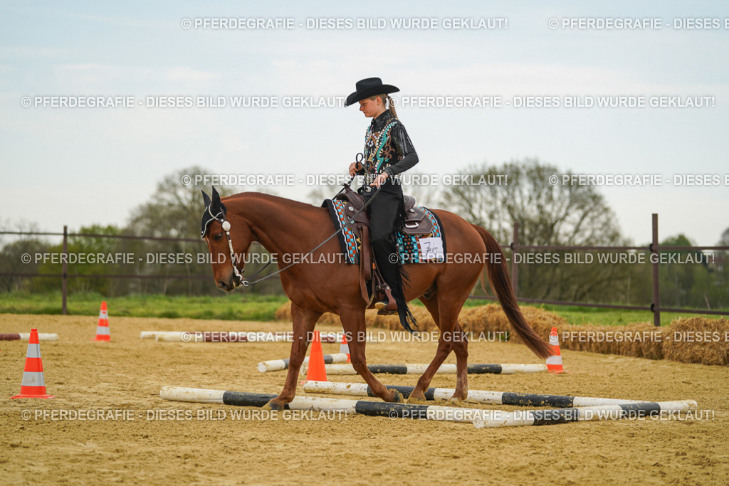 DSC02718 | Pferdegrafie