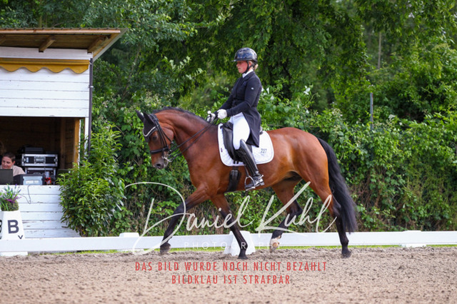 DKP41621 | Deine Turnierfotos vom Reitturnier online kaufen: Dressur, Springen & Siegerehrung. Professionelle Pferdefotografie aus dem Rheinland – als Download & Print.Alternative: Turnierfotograf für den Pferdesport: Finde deine Fotos von Dressur- und Springturnier