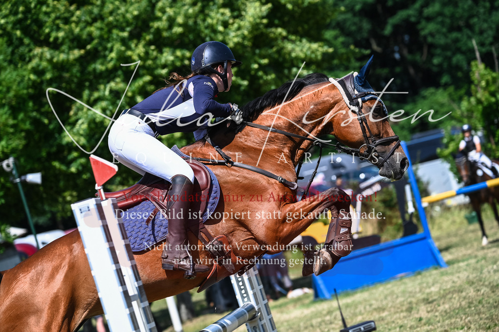 DSC_1356 | Pferde- und Turnierfotografie in Westsachsen. Pferdeportraits, Auftragszeichnungen und intuitive Kunst.