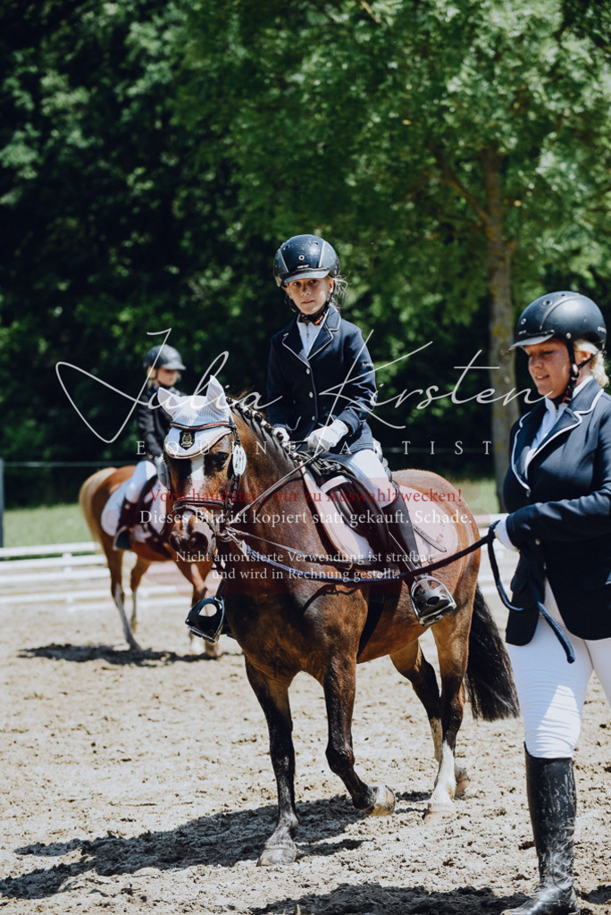 DSC_2122 | Pferde- und Turnierfotografie in Westsachsen. Pferdeportraits, Auftragszeichnungen und intuitive Kunst.