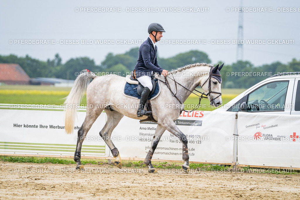 DSC02669 | Pferdegrafie