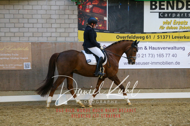 IMG_2952 | Turnierfotos kaufen im Webshop von Daniel Kuhl Photography – entdecke professionelle Reitsportfotos aus Turnieren & Events. Hochwertige Turnierbilder online bestellen & sichern. Jetzt Fotos von Reitsportturnieren kaufen!