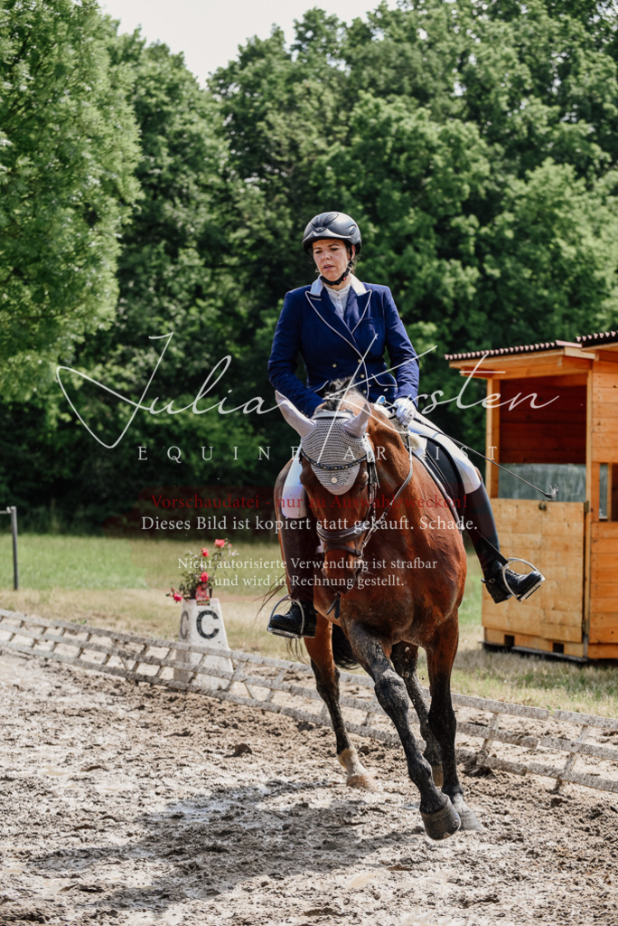DSC_1189 | Pferde- und Turnierfotografie in Westsachsen. Pferdeportraits, Auftragszeichnungen und intuitive Kunst.