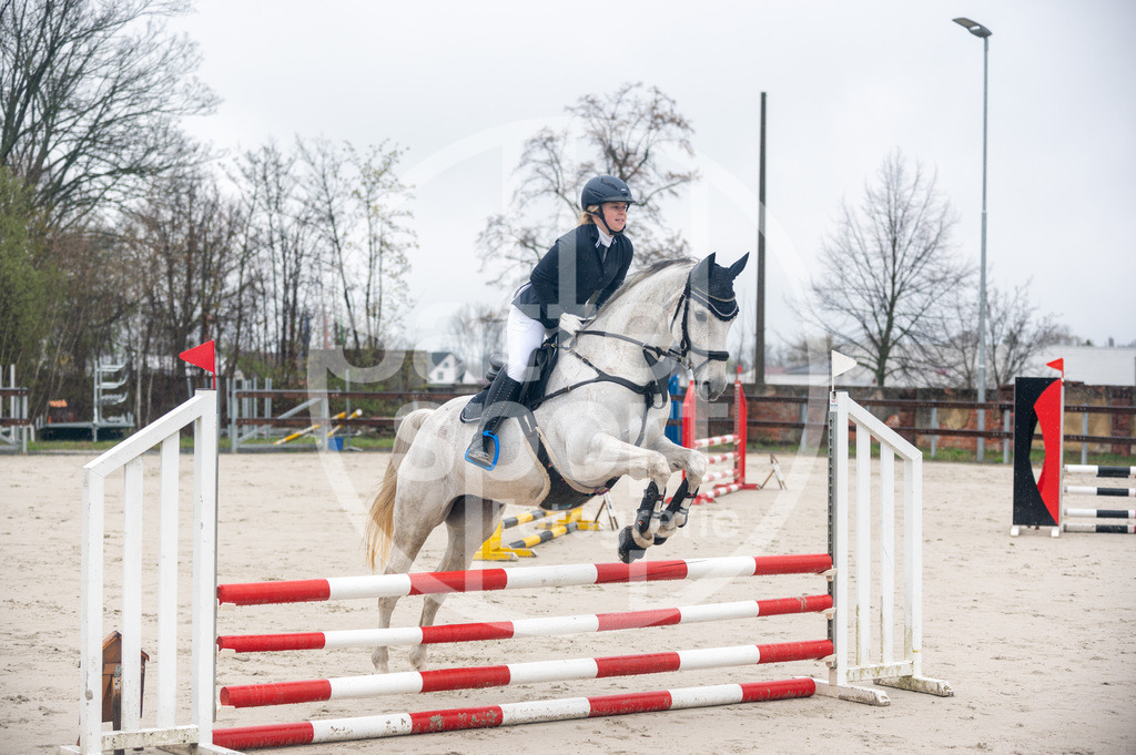 DSC_8164 | sattelsport - Realisiert mit Pictrs.com