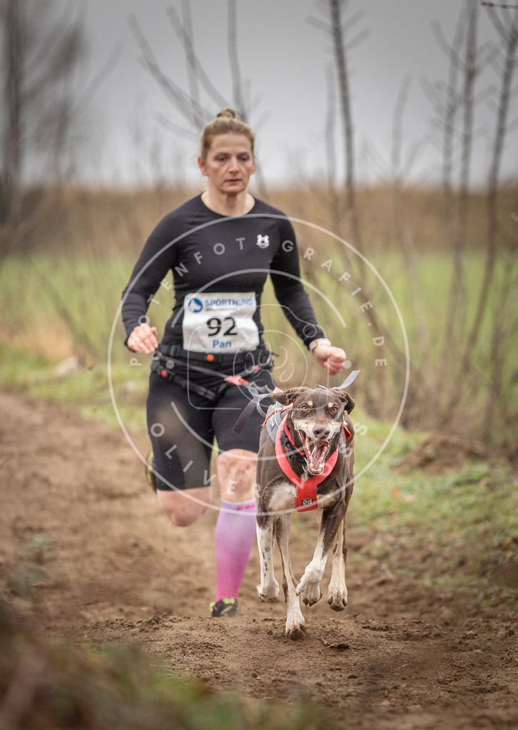 DV3A0009 | Hundefotografie, Tierfotograf, Pfotenfotografie, Fotoshooting Hund, Hunde Portrait, Hundesport, Hundeportraits, Heideshooting, Hunde, Sportfotograf, Hundefotograf, Turnierhundsport, THS,  - Realisiert mit Pictrs.com