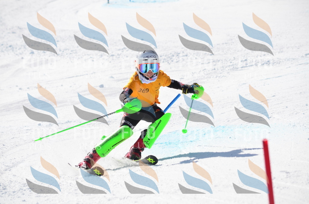 C8575 | holidayphoto