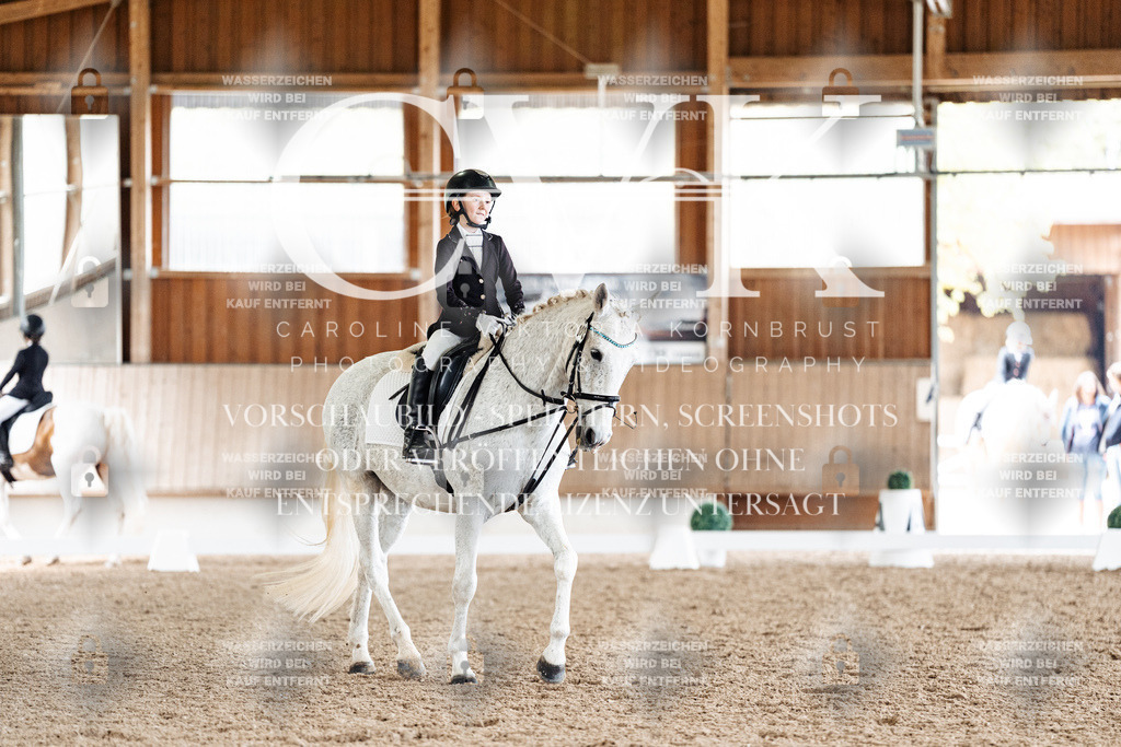 CK900332 | Turnierfotografie Pferdefotografie Trier Rheinland-Pfalz Pferdesport Reitsport Tierfotografie Sportfotografie Pferdevideo Pferdevideografie Equestrianvideography equestrianphotography  - Realisiert mit Pictrs.com