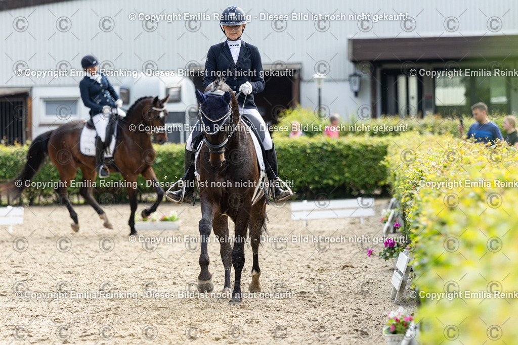 CL5A5402 | Emilia Reinking Fotografie - Realisiert mit Pictrs.com