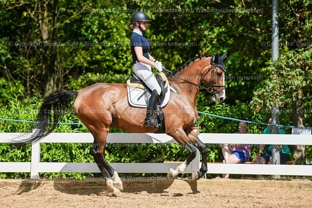 20230715_02_Dressurreiterprüfung Kl.L_0340 | equistock