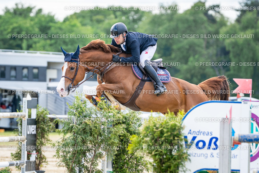 DSC07342 | Pferdegrafie