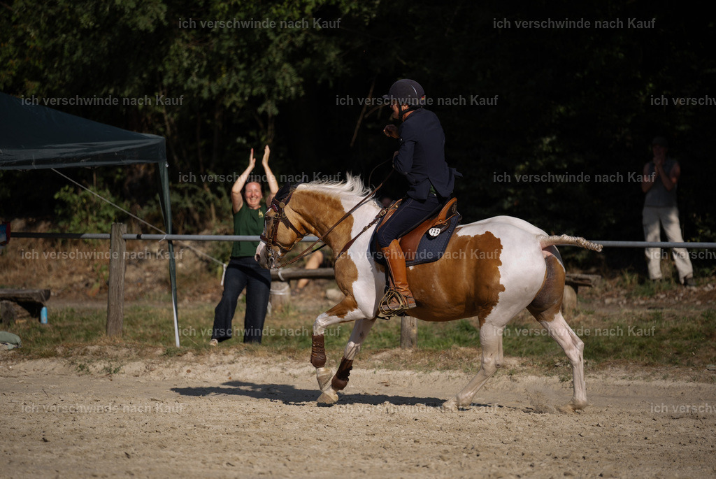 WS_SP_122_Stoibphotography_SO12263 | working equitationturnier fotograf videograf stoibphotography marixx film working equitation deutschland reitsport turnierfotografie eventfotografie equestrian events