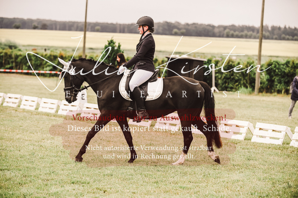 DSC_4843 | Pferde- und Turnierfotografie in Westsachsen. Pferdeportraits, Auftragszeichnungen und intuitive Kunst.