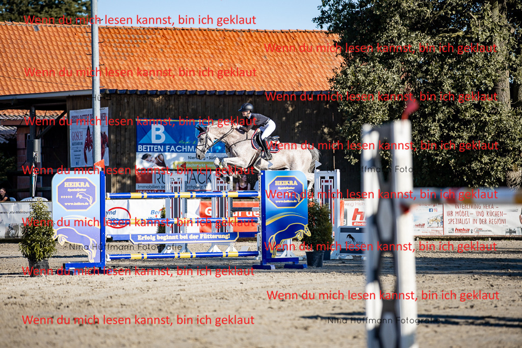 BK1A8308 | Turnierbilder Turnierfotos Nina Hüffmann Turnierfotografie Pferdefotografie Tierzeichnung Haustierzeichnung Pferdezeichnung Hundezeichnung Videograf  - Realisiert mit Pictrs.com
