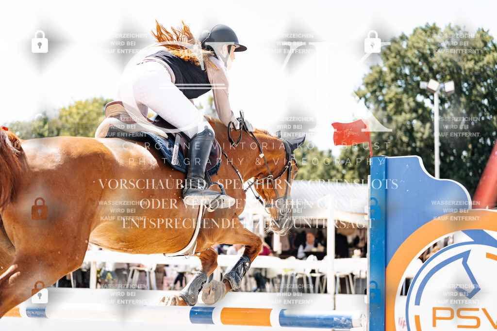 CK907774 | Turnierfotografie Pferdefotografie Trier Rheinland-Pfalz Pferdesport Reitsport Tierfotografie Sportfotografie Pferdevideo Pferdevideografie Equestrianvideography equestrianphotography  - Realisiert mit Pictrs.com