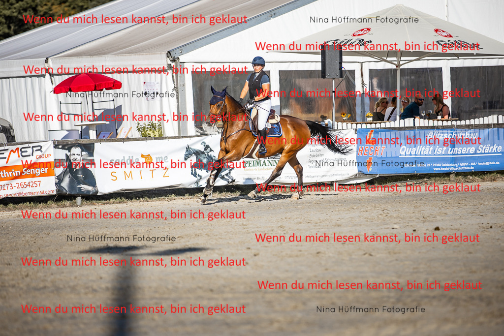 BK1A8661 | Turnierbilder Turnierfotos Nina Hüffmann Turnierfotografie Pferdefotografie Tierzeichnung Haustierzeichnung Pferdezeichnung Hundezeichnung Videograf  - Realisiert mit Pictrs.com