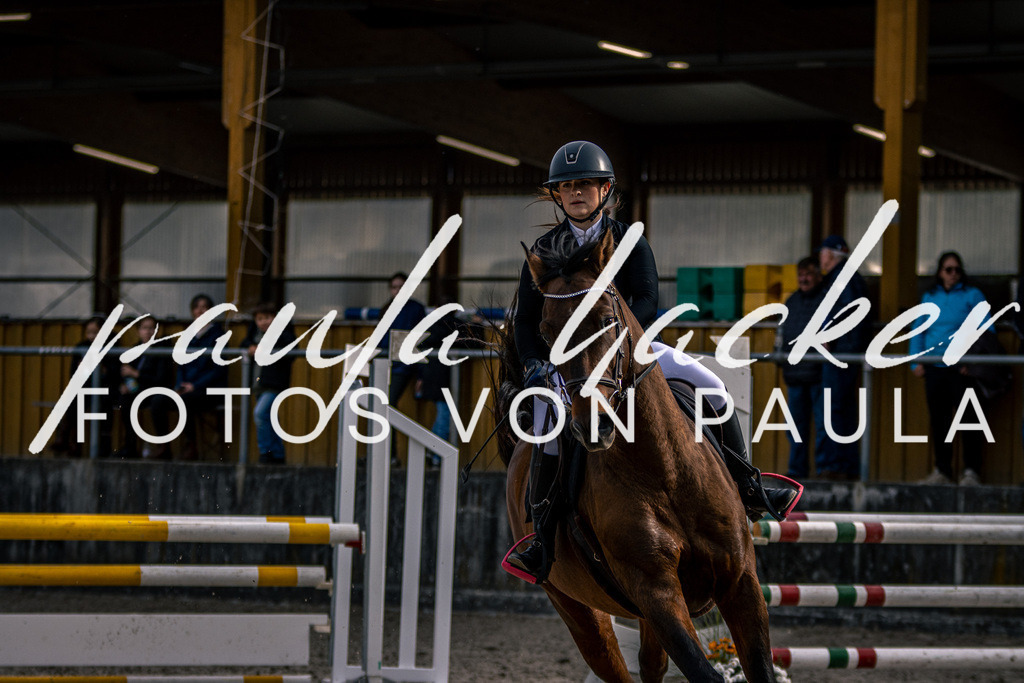 IMG_5907 | Erleben Sie dynamische Sport- und emotionale Tierfotografie in Süddeutschland mit Fotos von Paula. Spezialisiert auf Pferde- und Hundefotografie sowie Sportevents. Kontaktieren Sie mich für einzigartige und ausdrucksstarke Bilder Ihrer besonderen Momente. - Realisiert mit Pictrs.com