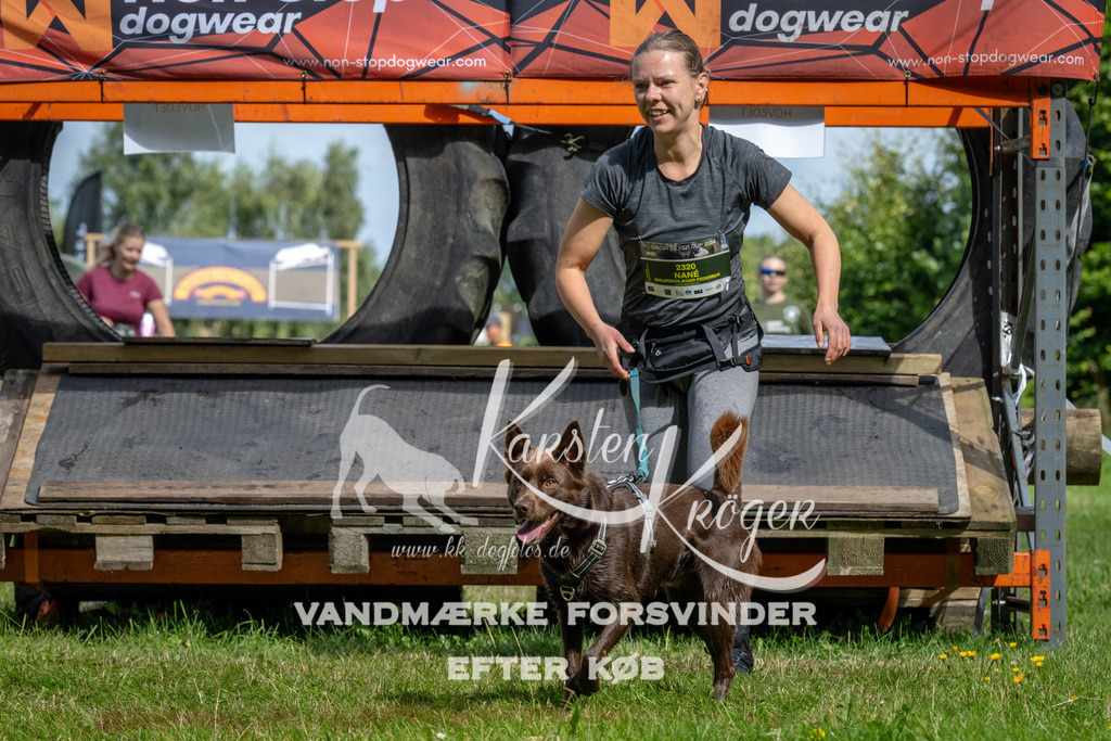 1131_ZZ92341 | kk-dogfotos