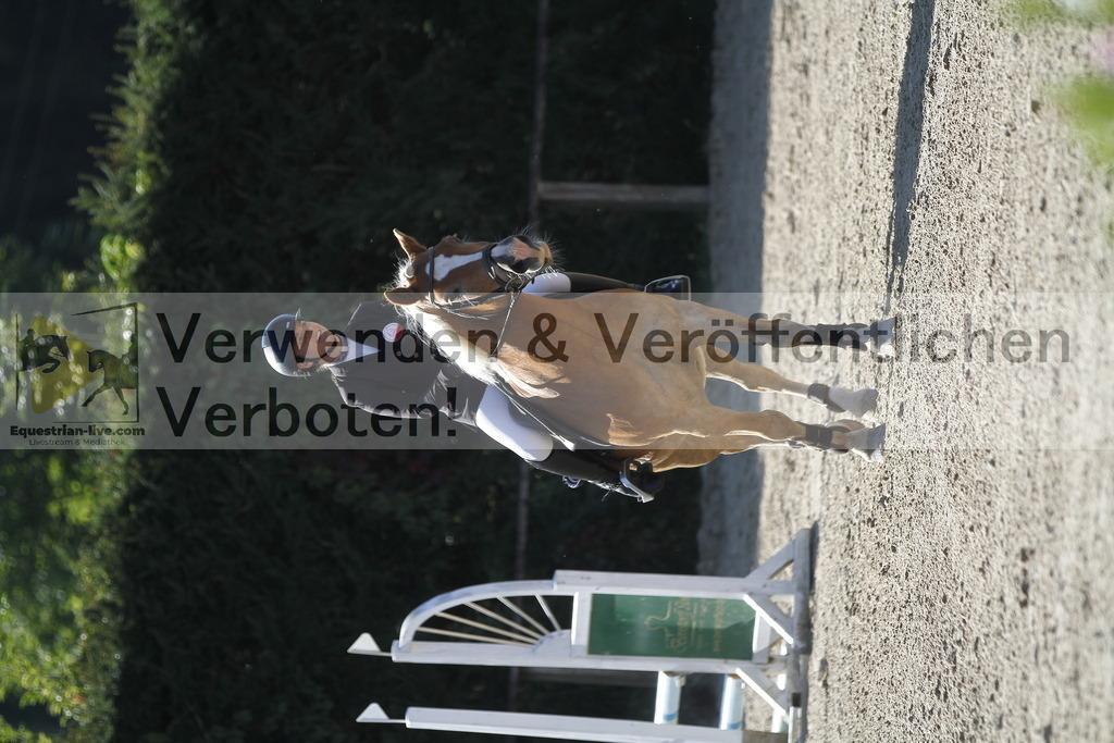 _MG_4281 | equestrian-live-com