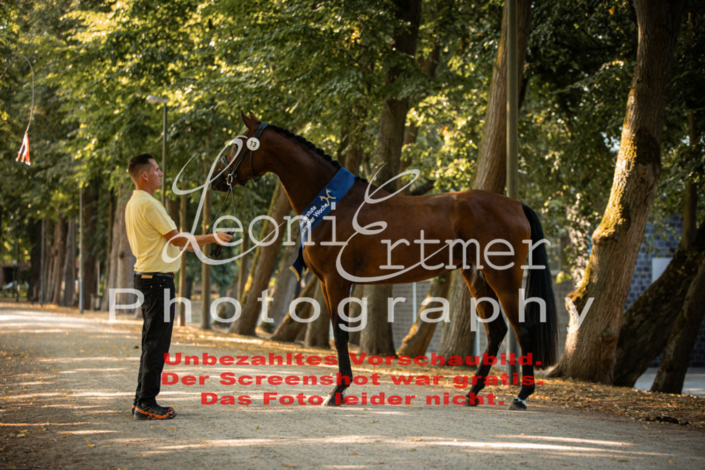 DoER00137 | Leoni Ertmer Photography - Realisiert mit Pictrs.com