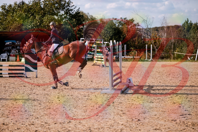 2026_10_03_Siefer-Hof_155552_Z81_75161582 | Professionelle Reitsport-, Turnier- und Eventfotografie von Robert Broda. Galerien mit ausgewählten und bearbeiteten Bildern direkt online ansehen und bestellen.