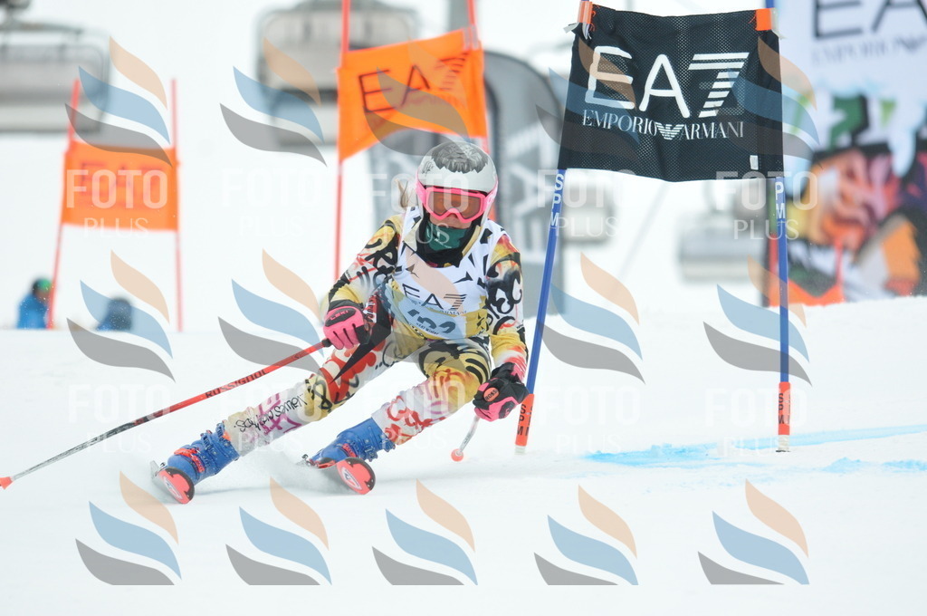 DSC_8067 | holidayphoto