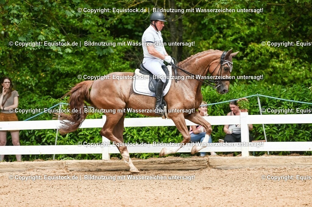 20230716_01_Dressurprüfung Kl.M_0105 | equistock