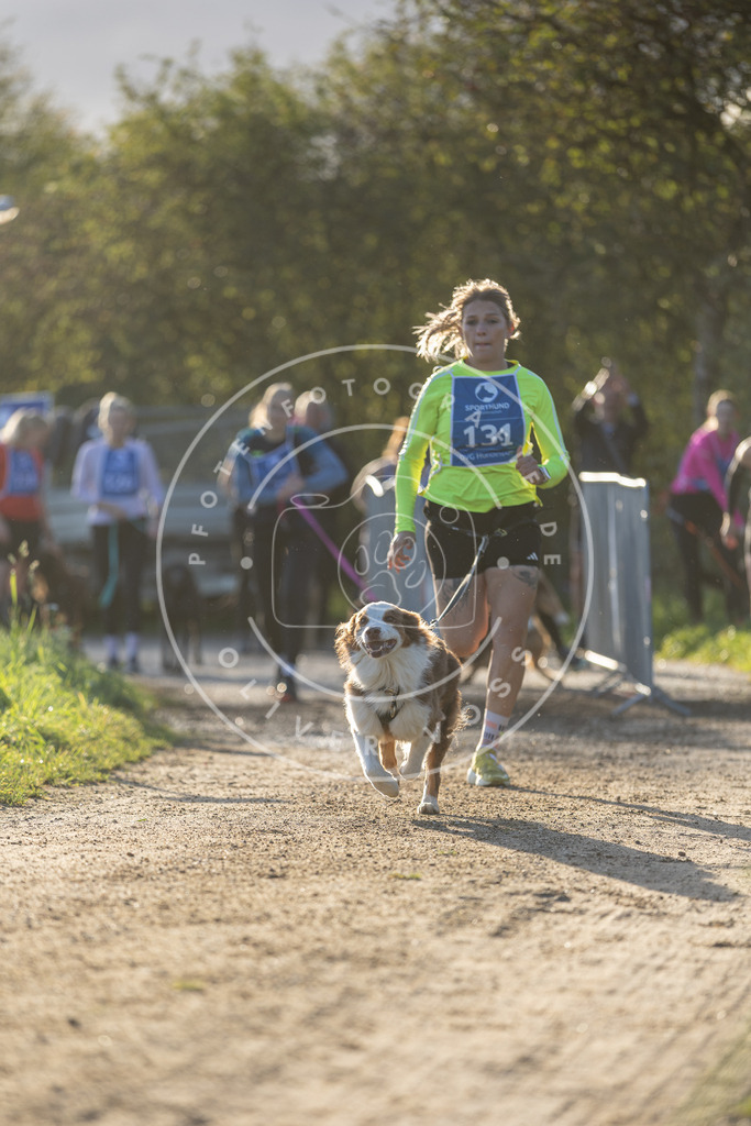 Pfotenfotografie.de_DV3A2875 | Hundefotografie, Tierfotograf, Pfotenfotografie, Fotoshooting Hund, Hunde Portrait, Hundesport, Hundeportraits, Heideshooting, Hunde, Sportfotograf, Hundefotograf, Turnierhundsport, THS, canicross - Realisiert mit Pictrs.com