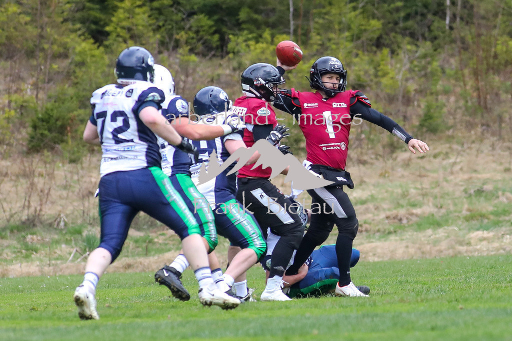 OE7A2747 | American Football / Spiegelau Bats - Straubing Spiders