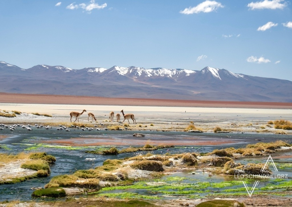 A650132 | Atmosphärische Landschaftsbilder & Drohnenaufnahmen aus dem Allgäu, Tirol, Südtirol & der Schweiz – ideal für Leinwanddrucke & zur stilvollen Raumgestaltung. - Realisiert mit Pictrs.com