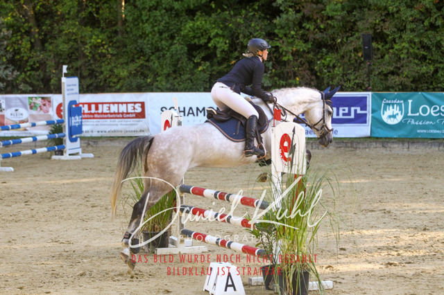 DKP42825 | Turniersportfotografie; Pferdefotografie; Dressurfotografie