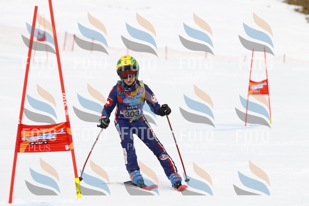 _U3G7546 | holidayphoto