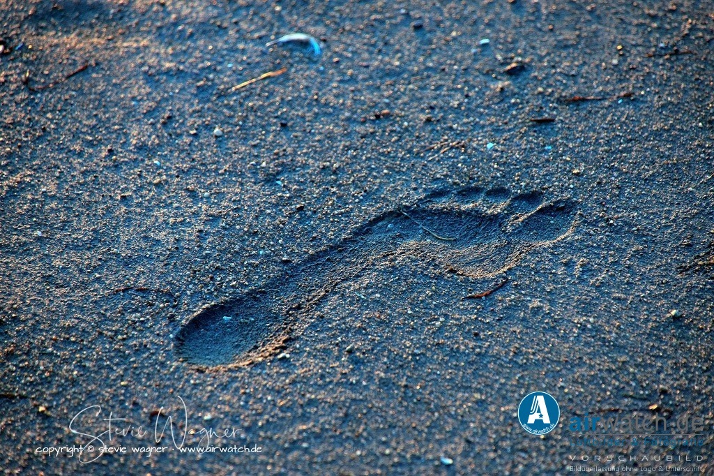 _MG_9210 | Entdecken Sie atemberaubende Luftbilder und Fotografien auf airwatch.de - Tauchen Sie ein in eine Welt voller faszinierender Aufnahmen aus der Vogelperspektive.
