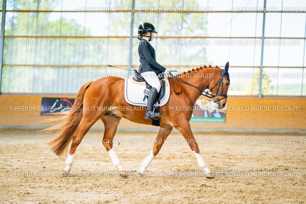 DSC06806 | Pferdegrafie