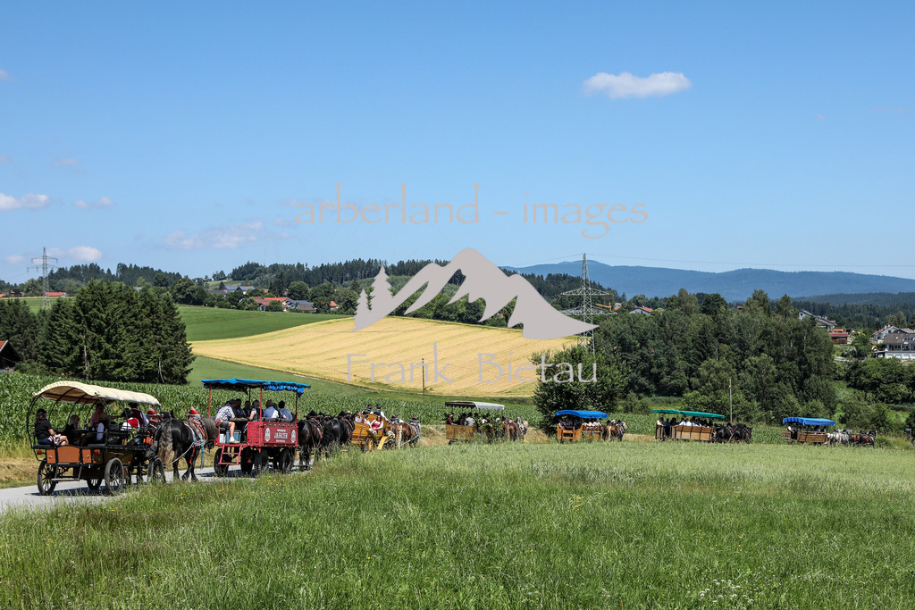 OE7A8443 | Medien- Sport- Entertainmentfotos